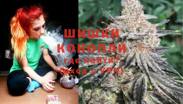 дживик Богданович